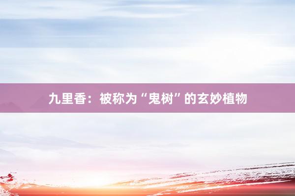 九里香：被称为“鬼树”的玄妙植物