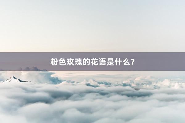 粉色玫瑰的花语是什么？