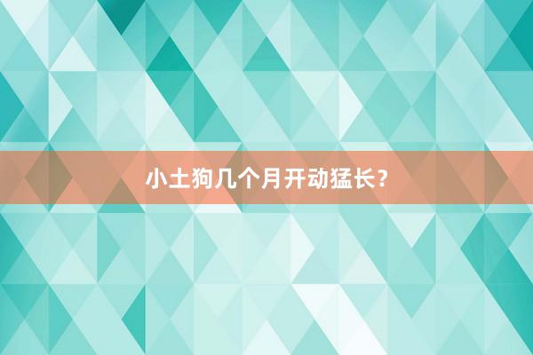 小土狗几个月开动猛长？