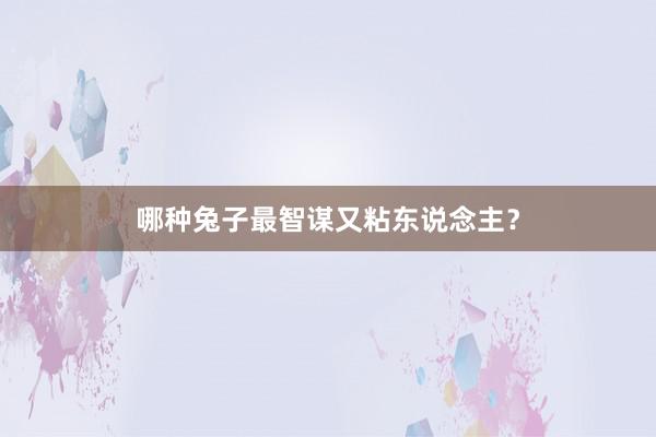 哪种兔子最智谋又粘东说念主？